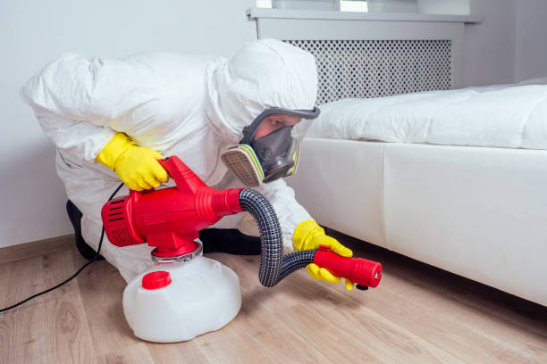 Best Fumigation Services  in Lemont Furnace, PA